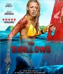 The Shallows (2016) นรกน้ำตื้น