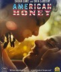 American Honey (2017) อเมริกัน ฮันนี่ (Master)