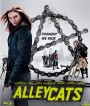 Alleycats (2016) ปั่นชนนรก (Master)