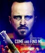 Come and Find Me (2016) ยิ่งหา ยิ่งหาย