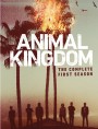 Animal Kingdom : The Complete 1st Season ตระกูลชั่ว ครอบครัวโจร ปี 1 ( 10 ตอนจบ )