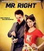 Mr. Right (2016) คู่มหาประลัย นักฆ่าเลิฟเลิฟ