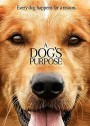 A Dog's Purpose หมา เป้าหมาย และเด็กชายของผม