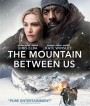 The Mountain Between Us (2017)