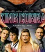 King Cobra (2016) คิงคอบร้า เปลื้องผ้าให้ฉาวโลก