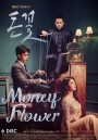 Money Flower ( 24 ตอนจบ )