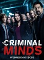 Criminal Minds Season 13 ( 22 ตอนจบ)(ตอนที่ 5 เป็นซับไทย)