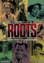 Roots ทาสทรนง ปี 2 ( 14 ตอนจบ )