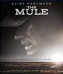 The Mule (2018) เดอะ มิวล์