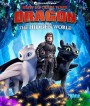 How to Train Your Dragon: The Hidden World (2019) อภินิหารไวกิ้งพิชิตมังกร 3