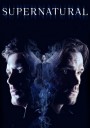 Supernatural Season 14 ล่าปริศนาเหนือโลก ปี 14 ( 20 ตอนจบ )