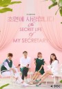 The Secret Life of My Secretary ( Ep.1-32/End )