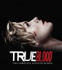 True Blood Season 7 Final Season หนุ่มแวมไพร์กับยัยสาวเสิร์ฟ ปี 7 ( 10 ตอนจบ )