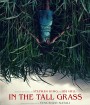 In The Tall Grass (2019) พงหลอนมรณะ {}