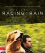 The Art of Racing in the Rain (2019) อุ่นไอหัวใจตูบ