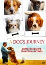 A Dog's Journey หมา เป้าหมาย และเด็กชายของผม 2