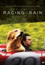 The Art of Racing in the Rain (2019) อุ่นไอหัวใจตูบ