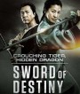 Crouching Tiger, Hidden Dragon - Sword of Destiny (2016) พยัคฆ์ระห่ำ มังกรผยองโลก 2: ชะตาเขียว