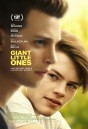 Giant Little Ones (2018)  รักไม่ติดฉลาก