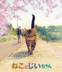 The Island of Cats (2019) แมวเหมียวกับคุณลุง