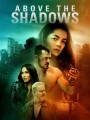 Above the Shadows จะรักไหม หากฉันไร้ตัวตน (2019)