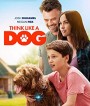 Think Like a Dog (2020) คู่คิดสี่ขา