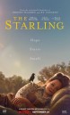 The Starling (2021)