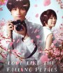 Love Like the Falling Petals (2022)