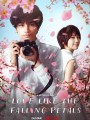 Love Like The Falling Petals (2022)