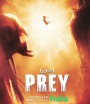 Prey (2022) ผู้ล่า มหากาฬ