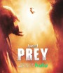 4K - Prey (2022) ผู้ล่า มหากาฬ - แผ่นหนัง 4K UHD