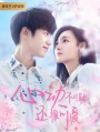 Countdown of Love ( Don’t Be Shy 2022) หยุดเวลารอปาฏิหาริย์รัก (12 ตอนจบ)