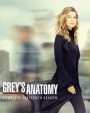 Grey's anatomy Season 16 แพทย์มือใหม่หัวใจเกินร้อย ปี 16 (21 ตอนจบ)