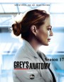 Grey's anatomy Season 17 แพทย์มือใหม่หัวใจเกินร้อย ปี 17 (17 ตอนจบ)