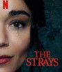 The Strays (2023) คนหลงทาง