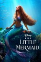 [ชนโรง!..ชัด +  V.2 - ดูรูปตัวอย่างด้านล่าง ] The Little Mermaid (2023) เงือกน้อยผจญภัย