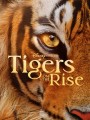 Tigers on the Rise (2024)