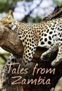 (ตอนที่ 5-7 ไม่มีซับ)Tales From Zambia เทพนิยายจากแซมเบีย (2016) 7 ตอน