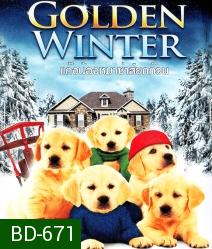 Golden winter แก๊งน้องหมาซ่าส์ยกก๊วน