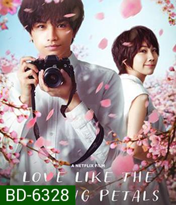 Love Like the Falling Petals (2022)