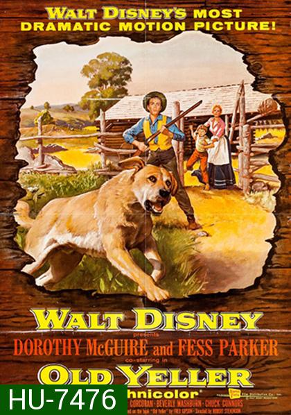 Old Yeller (1957) เพือนแท้คู่ชีวิต,สุนัขล่าคู่ชีวิต