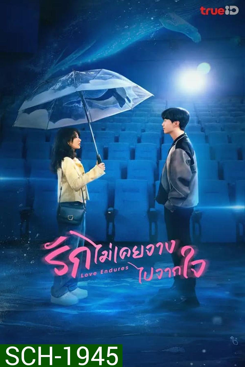 Love Endures (2024) รักไม่เคยจางไปจากใจ