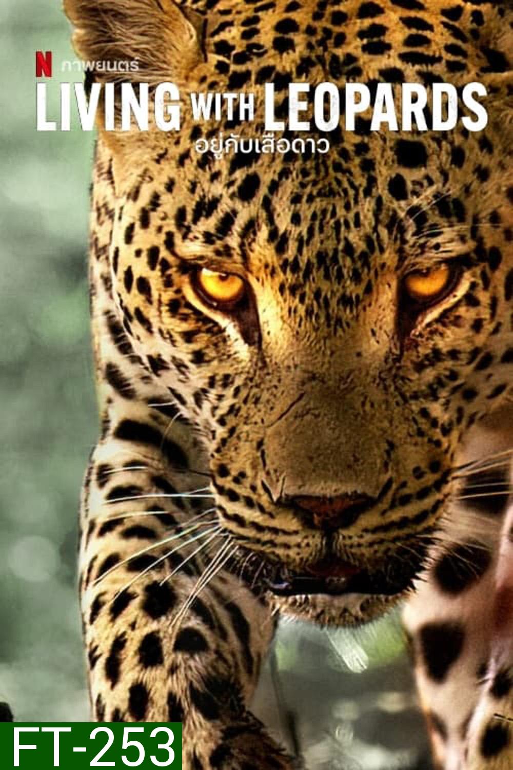 Living with Leopards (2024) อยู่กับเสือดาว