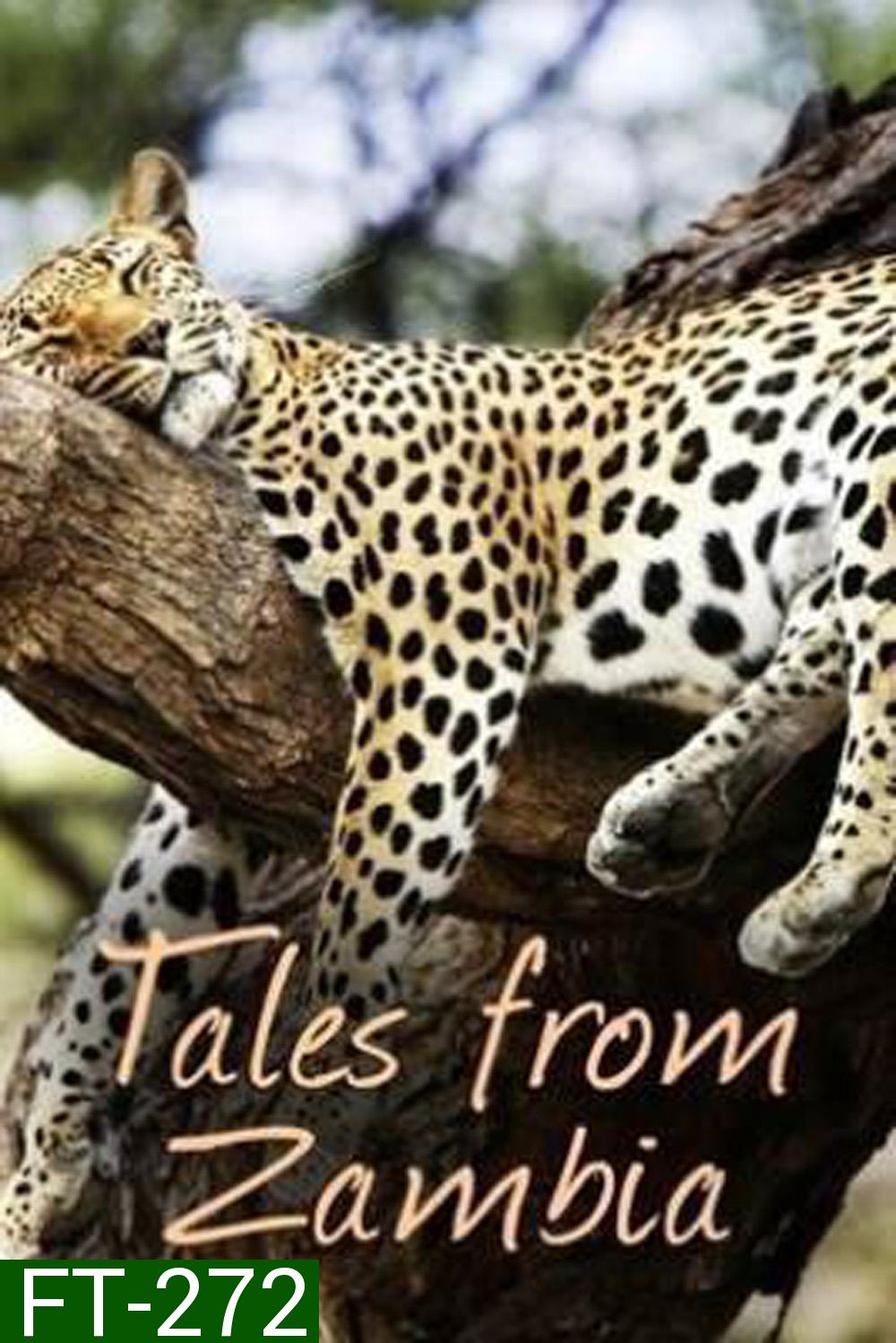 (ตอนที่ 5-7 ไม่มีซับ)Tales From Zambia เทพนิยายจากแซมเบีย (2016) 7 ตอน