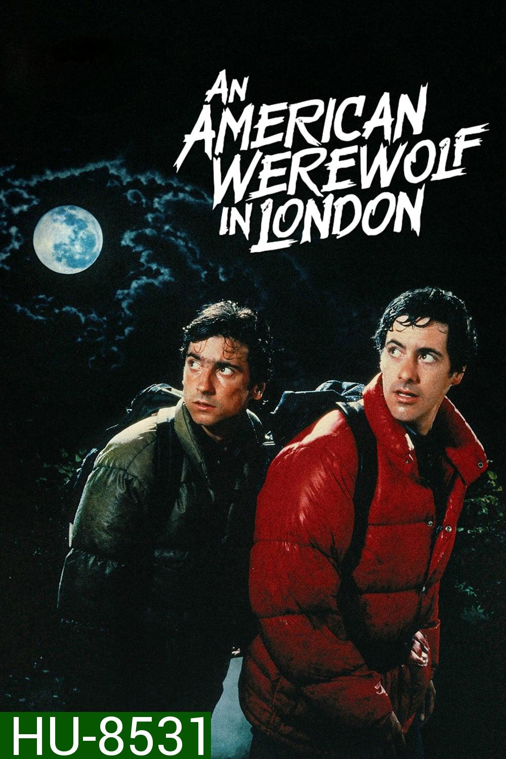 คนหอนคืนโหด An American Werewolf in London (1981)