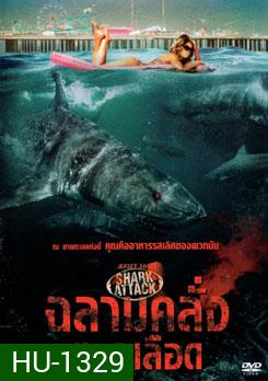 Jersey Shore Shark Attack ฉลามคลั่งทะเลเลือด