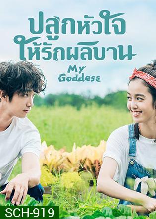 My Goddess (2018) ปลูกหัวใจให้รักผลิบาน