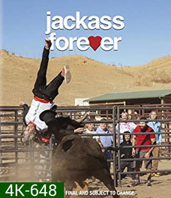 4K - Jackass Forever (2022) แจ็คแอส ฟอร์เอฟเวอร์ - แผ่นหนัง 4K UHD