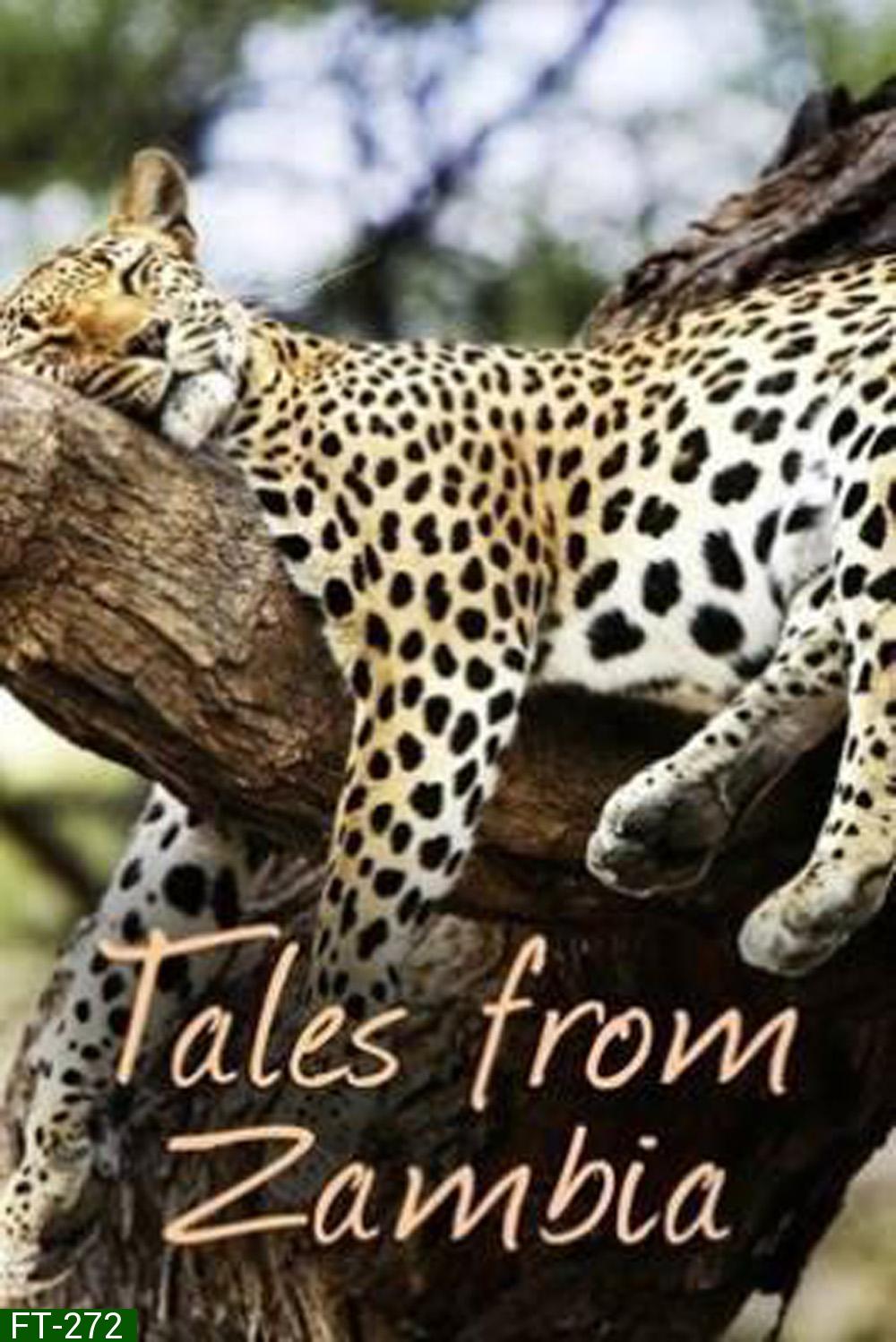 Tales From Zambia เทพนิยายจากแซมเบีย (2016) 7 ตอน