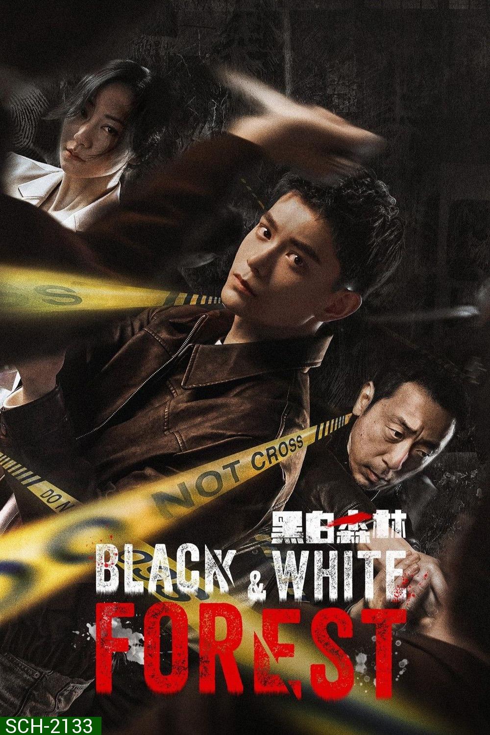 Black and White Forest ปมปริศนาป่าซ่อนเงื่อน (2024) 28 ตอนจบ